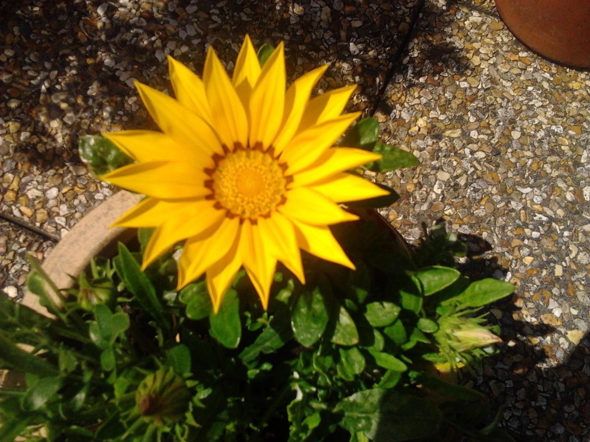 Rosslare Strand Rooms Only Accommodation Rosslare Harbour Luaran gambar